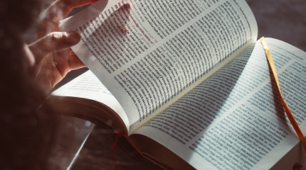 North Carolina Open University