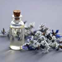 North Carolina Open University