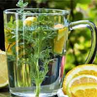 North Carolina Open University