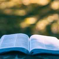 North Carolina Open University