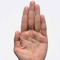 North Carolina Open University