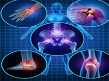 North Carolina Open University